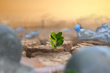 reen plant growing on dry cracked earth surrounded by waste of plastic bottle and polluted city and...