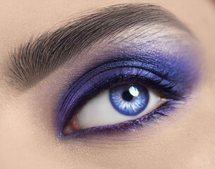 Beautiful woman eye makeup close-up. Young Woman Blue one eye macro shoot. Holiday violet color...