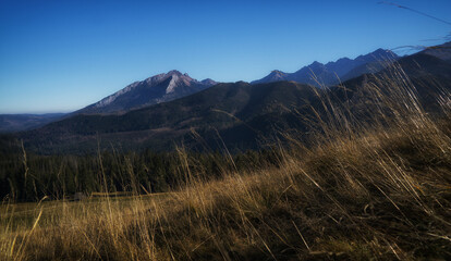 Autumn in the Tatras on a sunny day © Mariusz