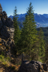 Obraz premium Autumn in the Tatras on a sunny day