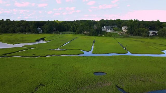 Backward moving aerial over diverse ecosystem at wetland due to seasonal flooding and green vegetation.