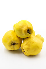 Quince on a white background. In combination with the shade of ripe quince. Story format close-up