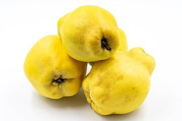 Quince on a white background. In combination with the shade of ripe quince. close-up