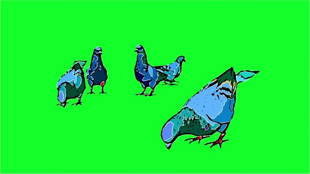  2d animation in comic style -  Pigeons eat