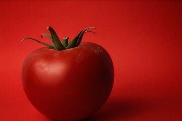 tomato on red background