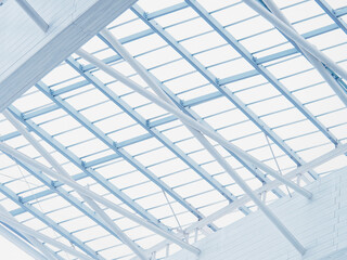 White metal structure Glass roof Architecture details