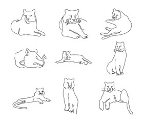 Beautuful tigers abstract line art set. Modern illustrations. Poster wall art desin. Chinese new year 2022 Symbols. Modern minimalists t shirt print. Vector wil cat set.