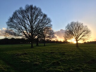 Fototapeta premium Park at sunset