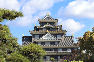 Fototapeta premium Okayama castle (Ravens Castle, Black castle), Okayama, Japan