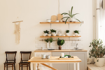 Stylish scandinavian open space with kitchen accessories and plants.