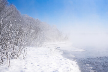 Obraz na płótnie Canvas Trees under fresh white snow. Winter forest, Russia