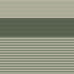 Fototapeta premium Green Double Striped seamless pattern design