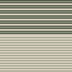Fototapeta premium Green Double Striped seamless pattern design