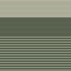 Fototapeta premium Green Double Striped seamless pattern design