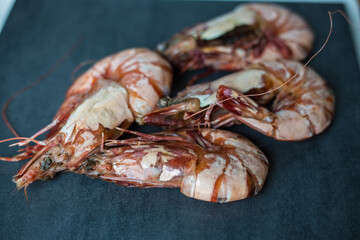 Prawn sea shrimp grilled on black plate