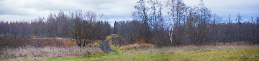 Wide panorama of colorful autumn landscape. Forest trees and meadow in warm daylight. Copy space