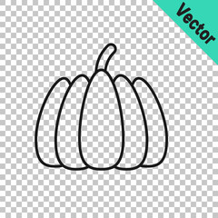 Black line Pumpkin icon isolated on transparent background. Happy Halloween party. Vector