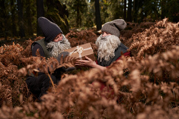 Scandinavian gnomes investigating christmas present