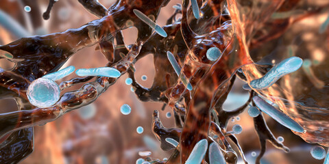 Antibiotic resistant bacteria in a biofilm, 3D illustration