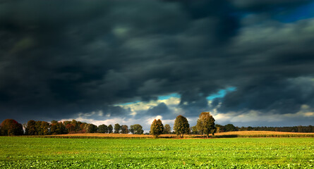 Jesienny Krajobraz z Chmurami  - obrazy, fototapety, plakaty