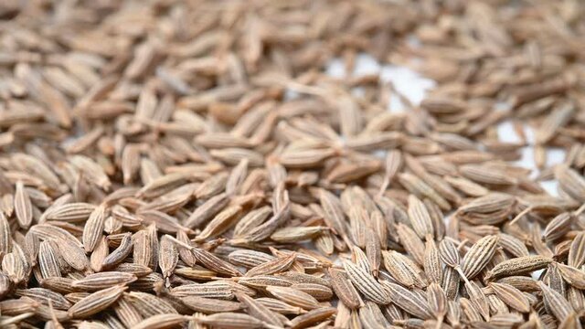 angle view herb ZiRan or Cuminum Cyminum or Cumin rotating