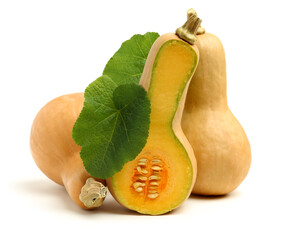 butternut squash isolated on white background.