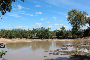 Krügerpark - Gardenia hide / Kruger park - Gardenia hide /