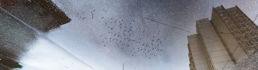 Reflection of a building and a flying birds in a puddle on the asphalt after a rain. Abstract photography
