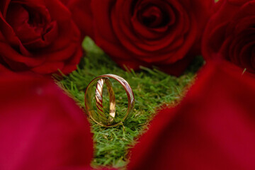 wedding rings on red rose