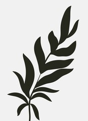 Silhouettes of plants and leaves. Abstract black and white minimalistic poster.