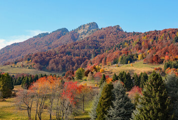 high Mountain Spitz in Northern Italy with the colorful trees in autumn and the blue sky