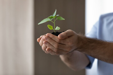 Close up caring young man holding ground with small green plant in hands, cropped responsible male entrepreneur developing eco-friendly sustainable business project, bio agriculture concept.