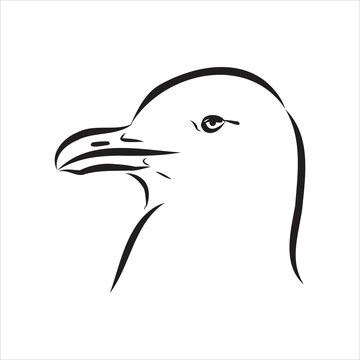 recommend clip art: Seagull Albatross bird in flight with open wings sketch vector graphics black and white drawing