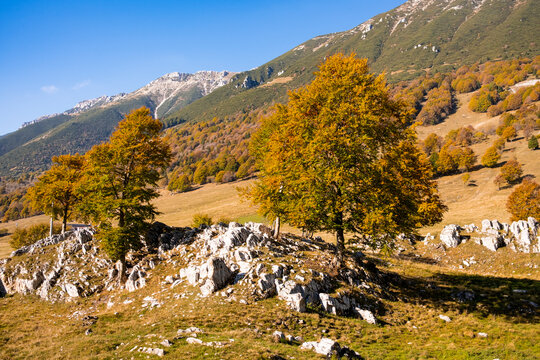 Autumn valley in Monte Baldo range