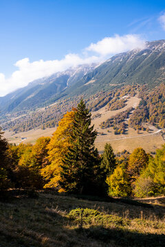 Autumn valley in Monte Baldo range