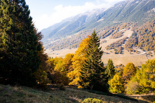 Autumn valley in Monte Baldo range