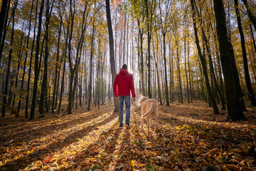 Rear view of young man with dog. Pet owner walking with labrador retriever through autumn forest..