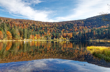 lac des Vosges en automne