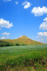 Fototapeta premium beautiful summer landscape