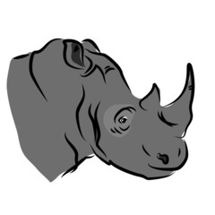 vector color african wildlife big rhinocenos endangered savannah animal 