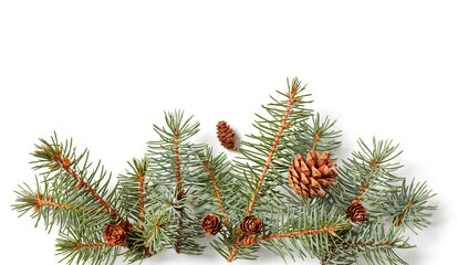 Fir tree branches with cones composition