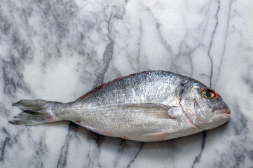 Fresh fish dorado or gilt-head and seabass on white background