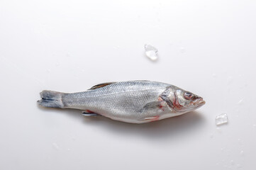 Fresh raw fish seabass on white background