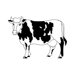 Farm animal cow. Outline silhouette. Design element. Vector illustration isolated on white background. Template for books, stickers, posters, cards, clothes.
