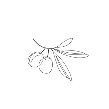 recommend clip art: Olive leaves in continuous line art drawing style