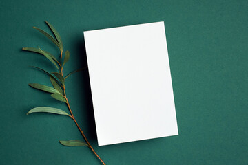 Invitation or greeting card mockup with natural eucalyptus twig.