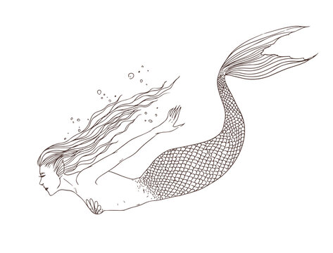 Mermaid under the water, side view, hand drawn contour illustration. Beautiful naiad.