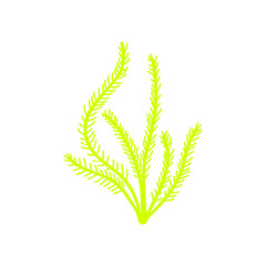 Coral icon vector. seaweed illustration sign. underwater world symbol or logo.