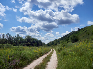 Fototapeta na wymiar a country road winds between hills overgrown with wild grass, cloudy sky, rustic landscape