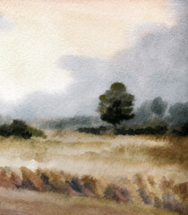 Watercolor landscape. Road in a wheat field